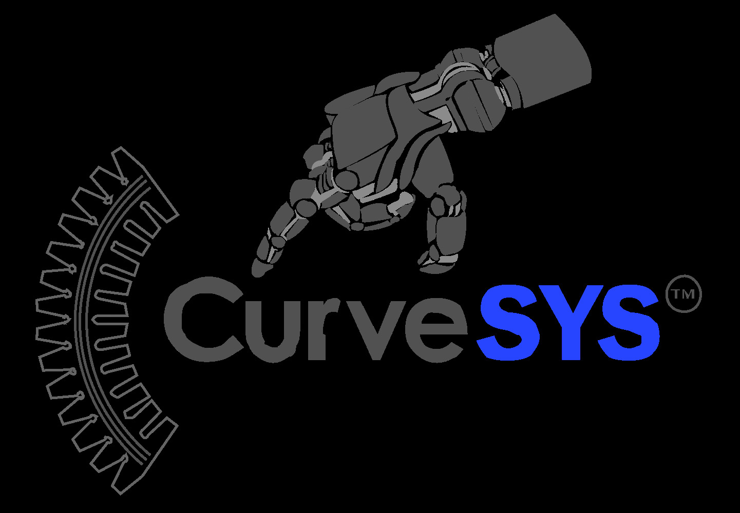 curve-sys.jpg